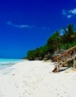 Zanzibar Tanzania 79